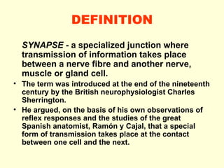 DEFINITION SYNAPSE  - a specialized junction where transmission of information takes place between a nerve fibre and another nerve, muscle or gland cell. The term was introduced at the end of the nineteenth century by the British neurophysiologist Charles Sherrington. He argued, on the basis of his own observations of reflex responses and the studies of the great Spanish anatomist, Ramón y Cajal, that a special form of transmission takes place at the contact between one cell and the next. 