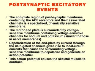 POSTSYNAPTIC EXCITATORY EVENTS The end-plate region of post-synaptic membrane containing the ACh receptors and their associated channels is a specialized, chemically sensitive membrane. The motor end plate is surrounded by voltage-sensitive membrane containing voltage-sensitive channels for sodium and potassium (similar to those in nerve membranes). Depolarization of the end-plate by current through the ACh-gated channels gives rise to local-circuit currents that cause the surrounding voltage-sensitive membrane to depolarize and generate an action potential. This action potential causes the skeletal muscle to contract.   