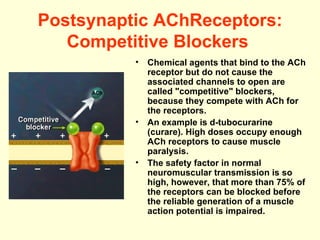 Postsynaptic AChReceptors: Competitive Blockers   Chemical agents that bind to the ACh receptor but do not cause the associated channels to open are called "competitive" blockers, because they compete with ACh for the receptors.  An example is d-tubocurarine (curare). High doses occupy enough ACh receptors to cause muscle paralysis. The safety factor in normal neuromuscular transmission is so high, however, that more than 75% of the receptors can be blocked before the reliable generation of a muscle action potential is impaired.   