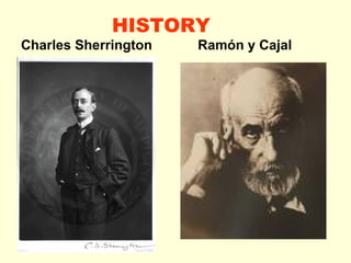 HISTORY Charles Sherrington  Ramón y Cajal 