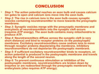 CONCLUSION Step 1 : The action potential reaches an axon bulb and causes calcium ion gates to open and calcium ions move into the axon bulb. Step 2 : The rise in calcium ions in the axon bulb causes synaptic vesicles containing neurotransmitter to move towards the presynaptic membrane. Step 3 : Synaptic vesicles merge with the presynaptic membrane and exocytosis of neurotransmitters into the synaptic cleft occurs  ( requires ATP energy ) . The axon bulb contains many mitochondria to produce ATP. Step 4 : Neurotransmitters diffuse across the synaptic cleft (a very short distance) and bind to receptor proteins on the postsynaptic membrane. Excitatory neurotransmitters cause sodium ions to move through receptor proteins depolarizing the membrane. Inhibitory neurotransmitters do not depolarize the postsynaptic membrane. Step 5 : If sufficient excitatory neurotransmitter binds to receptors, an action potential is produced in the postsynaptic membrane and travels along the length of the second neuron. Step 6 : To prevent continuous stimulation or inhibition of the postsynaptic membrane, neurotransmitters are broken down by enzymes or are reabsorbed through the presynaptic membrane by endocytosis (also requires ATP energy). 