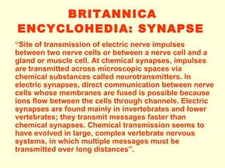 BRITANNICA ENCYCLOHEDIA: SYNAPSE   “ Site of transmission of electric nerve impulses between two nerve cells or between a nerve cell and a gland or muscle cell. At chemical synapses, impulses are transmitted across microscopic spaces via chemical substances called neurotransmitters. In electric synapses, direct communication between nerve cells whose membranes are fused is possible because ions flow between the cells through channels. Electric synapses are found mainly in invertebrates and lower vertebrates; they transmit messages faster than chemical synapses. Chemical transmission seems to have evolved in large, complex vertebrate nervous systems, in which multiple messages must be transmitted over long distances”. 