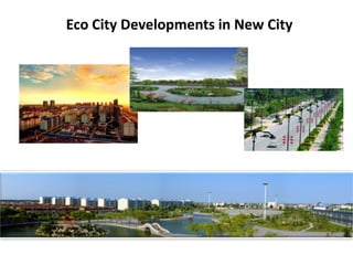 Wetland Park Tourism Developments