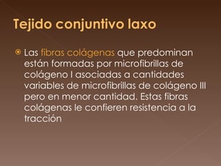 Las  fibras colágenas  que predominan están formadas por microfibrillas de colágeno I asociadas a cantidades variables de microfibrillas de colágeno III pero en menor cantidad. Estas fibras colágenas le confieren resistencia a la tracción  