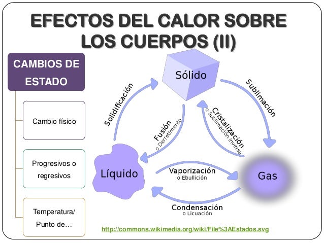 3.temperaturaycalor