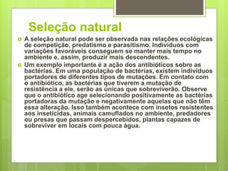 Seleção natural
 A seleção natural pode ser observada nas relações ecológicas
de competição, predatismo e parasitismo. Indivíduos com
variações favoráveis conseguem se manter mais tempo no
ambiente e, assim, produzir mais descendentes.
 Um exemplo importante é a ação dos antibióticos sobre as
bactérias. Em uma população de bactérias, existem indivíduos
portadores de diferentes tipos de mutações. Em contato com
o antibiótico, as bactérias que tiverem a mutação de
resistência a ele, serão as únicas que sobreviverão. Observe
que o antibiótico age selecionando positivamente as bactérias
portadoras da mutação e negativamente aquelas que não têm
essa alteração. Isso também acontece com insetos resistentes
aos inseticidas, animais camuflados no ambiente, predadores
ou presas que passam despercebidos, plantas capazes de
sobreviver em locais com pouca água.
 