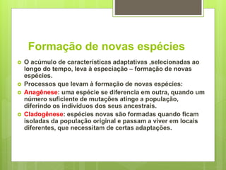 Formação de novas espécies
 O acúmulo de características adaptativas ,selecionadas ao
longo do tempo, leva à especiação – formação de novas
espécies.
 Processos que levam à formação de novas espécies:
 Anagênese: uma espécie se diferencia em outra, quando um
número suficiente de mutações atinge a população,
diferindo os indivíduos dos seus ancestrais.
 Cladogênese: espécies novas são formadas quando ficam
isoladas da população original e passam a viver em locais
diferentes, que necessitam de certas adaptações.
 