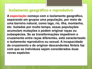 Isolamento geográfico e reprodutivo
A especiação começa com o isolamento geográfico,
separando em grupos uma população, por meio de
uma barreira natural, como lago, rio, ilha, montanha,
etc. Isoladas por muito tempo, essas populações
acumulam mutações e podem originar raças ou
subespécies. Se as transformações impedirem o
cruzamento entre raças diferentes, está caracterizado
o isolamento reprodutivo ou sexual. A incapacidade
de cruzamento e de originar descendentes férteis faz
com que os indivíduos sejam considerados duas
novas espécies
 