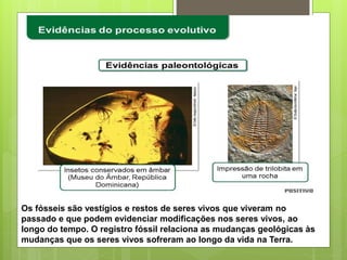 Os fósseis são vestígios e restos de seres vivos que viveram no
passado e que podem evidenciar modificações nos seres vivos, ao
longo do tempo. O registro fóssil relaciona as mudanças geológicas às
mudanças que os seres vivos sofreram ao longo da vida na Terra.
 