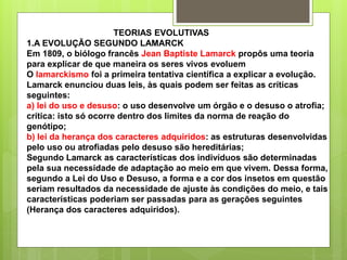 TEORIAS EVOLUTIVAS
1.A EVOLUÇÃO SEGUNDO LAMARCK
Em 1809, o biólogo francês Jean Baptiste Lamarck propôs uma teoria
para explicar de que maneira os seres vivos evoluem
O lamarckismo foi a primeira tentativa científica a explicar a evolução.
Lamarck enunciou duas leis, às quais podem ser feitas as críticas
seguintes:
a) lei do uso e desuso: o uso desenvolve um órgão e o desuso o atrofia;
crítica: isto só ocorre dentro dos limites da norma de reação do
genótipo;
b) lei da herança dos caracteres adquiridos: as estruturas desenvolvidas
pelo uso ou atrofiadas pelo desuso são hereditárias;
Segundo Lamarck as características dos indivíduos são determinadas
pela sua necessidade de adaptação ao meio em que vivem. Dessa forma,
segundo a Lei do Uso e Desuso, a forma e a cor dos insetos em questão
seriam resultados da necessidade de ajuste às condições do meio, e tais
características poderiam ser passadas para as gerações seguintes
(Herança dos caracteres adquiridos).
 