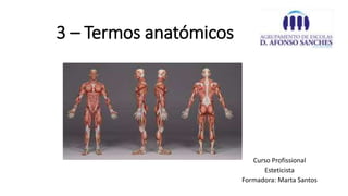 3 – Termos anatómicos
Curso Profissional
Esteticista
Formadora: Marta Santos
 
