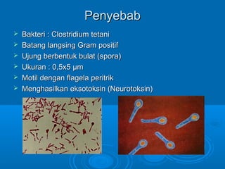 PPeennyyeebbaabb 
 BBaakktteerrii :: CClloossttrriiddiiuumm tteettaannii 
 BBaattaanngg llaannggssiinngg GGrraamm ppoossiittiiff 
 UUjjuunngg bbeerrbbeennttuukk bbuullaatt ((ssppoorraa)) 
 UUkkuurraann :: 00,,55xx55 μμmm 
 MMoottiill ddeennggaann ffllaaggeellaa ppeerriittrriikk 
 MMeenngghhaassiillkkaann eekkssoottookkssiinn ((NNeeuurroottookkssiinn)) 
 