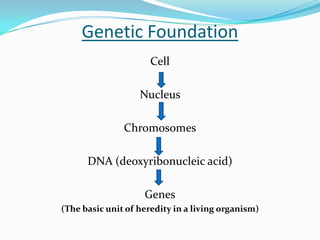 The Biological Beginnings | PPTX