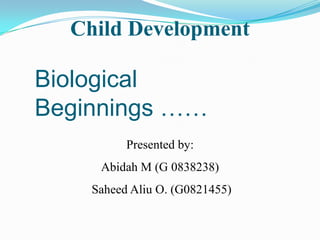 Child Development Presented by: Abidah M (G 0838238)  Saheed Aliu O. (G0821455) Biological Beginnings …… 