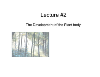 Lecture #2
  The Development of the Plant body
   
 