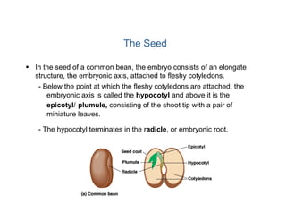 Lesson 2 bio101 (c)Dr. Evangelista | PDF