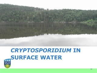 CRYPTOSPORIDIUM IN
SURFACE WATER
                     12
 