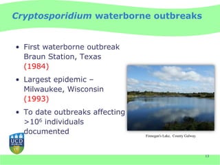 Cryptosporidium waterborne outbreaks


• First waterborne outbreak
  Braun Station, Texas
  (1984)
• Largest epidemic –
  Milwaukee, Wisconsin
  (1993)
• To date outbreaks affecting
  >106 individuals
  documented                    Finnegan's Lake, County Galway.




                                                                  13
 