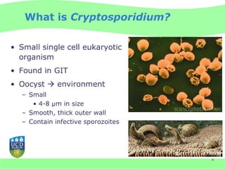 What is Cryptosporidium?

• Small single cell eukaryotic
  organism
• Found in GIT
• Oocyst  environment
   – Small
      • 4-8 µm in size
   – Smooth, thick outer wall
   – Contain infective sporozoites




                                     4
 