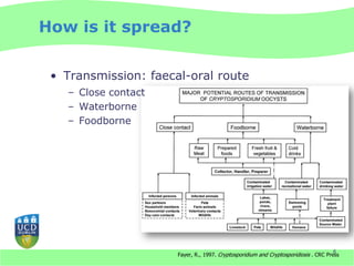 How is it spread?


 • Transmission: faecal-oral route
   – Close contact
   – Waterborne
   – Foodborne




                                                                                     6
                      Fayer, R., 1997. Cryptosporidium and Cryptosporidiosis . CRC Press
 