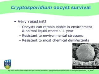 Cryptosporidium oocyst survival


          • Very resistant!
                  – Oocysts can remain viable in environment
                    & animal liquid waste ~ 1 year
                  – Resistant to environmental stressors
                  – Resistant to most chemical disinfectants




http://www.bio-uv.com/fr/site/Piscines-spas-collectifs/Prevention-Cryptosporidium/Prevention-contre-les-pathogenes-parasitaires_129_.html 7
 