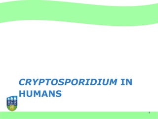 CRYPTOSPORIDIUM IN
HUMANS
                     8
 