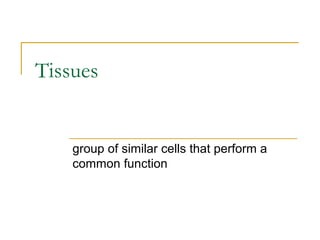 Tissues
group of similar cells that perform a
common function
 