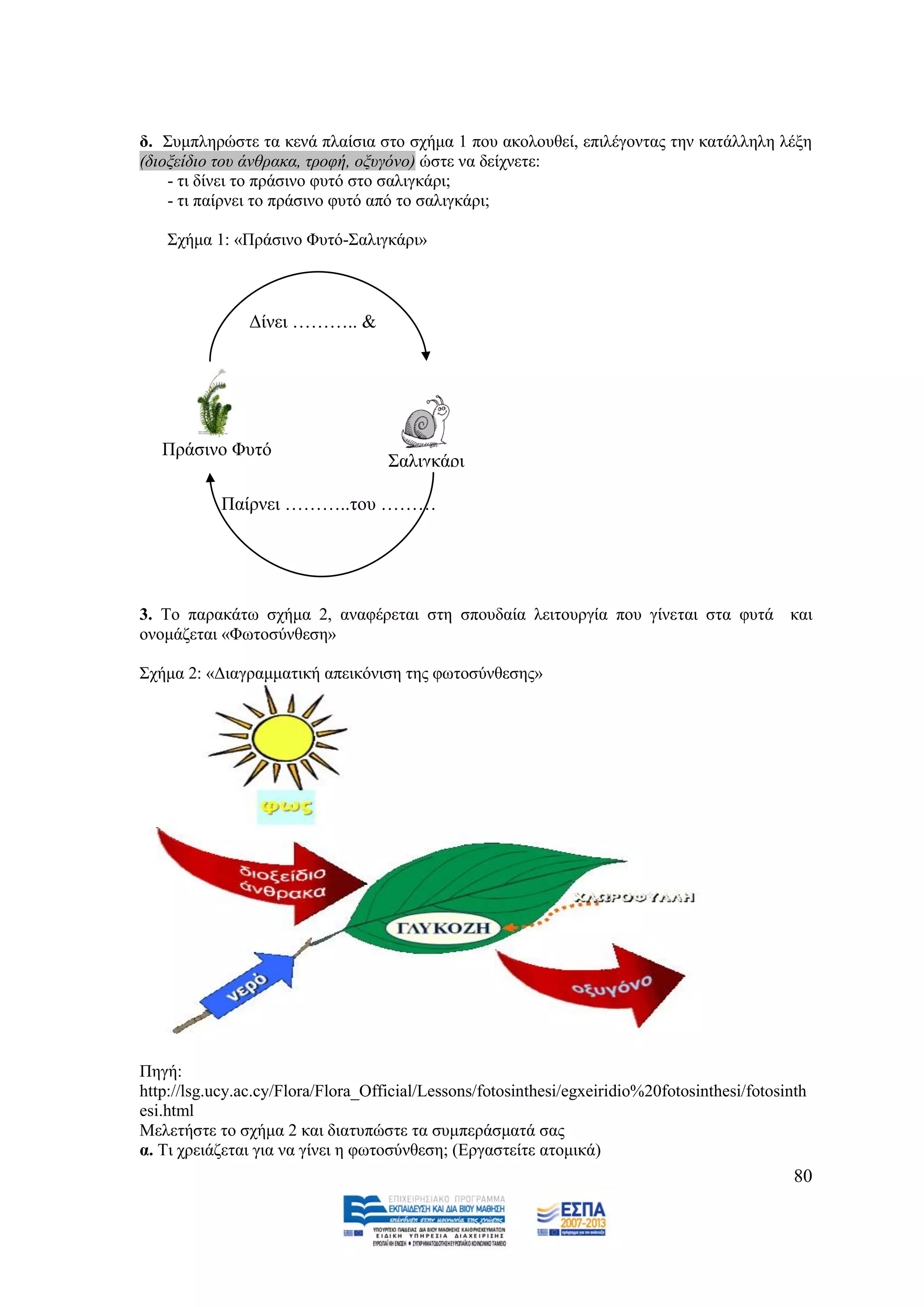 δ. ΢πκπιεξψζηε ηα θελά πιαίζηα ζην ζρήκα 1 πνπ αθνινπζεί, επηιέγνληαο ηελ θαηάιιειε ιέμε
(δηνμείδην ηνπ άλζξαθα, ηξνθή, νμπγόλν) ψζηε λα δείρλεηε:
    - ηη δίλεη ην πξάζηλν θπηφ ζην ζαιηγθάξη;
    - ηη παίξλεη ην πξάζηλν θπηφ απφ ην ζαιηγθάξη;

    ΢ρήκα 1: «Πξάζηλν Φπηφ-΢αιηγθάξη»



                Γίλεη ……….. &
                ……..




   Πξάζηλν Φπηφ
                                    ΢αιηγθάξη

            Παίξλεη ………..ηνπ ………




3. Σν παξαθάησ ζρήκα 2, αλαθέξεηαη ζηε ζπνπδαία ιεηηνπξγία πνπ γίλεηαη ζηα θπηά θαη
νλνκάδεηαη «Φσηνζχλζεζε»

΢ρήκα 2: «Γηαγξακκαηηθή απεηθφληζε ηεο θσηνζχλζεζεο»




Πεγή:
http://lsg.ucy.ac.cy/Flora/Flora_Official/Lessons/fotosinthesi/egxeiridio%20fotosinthesi/fotosinth
esi.html
Μειεηήζηε ην ζρήκα 2 θαη δηαηππψζηε ηα ζπκπεξάζκαηά ζαο
α. Ση ρξεηάδεηαη γηα λα γίλεη ε θσηνζχλζεζε; (Δξγαζηείηε αηνκηθά)
                                                                                                80
 