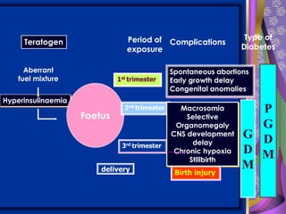 Teratogen Period of
exposure
Complications
Type of
Diabetes
Aberrant
fuel mixture
Hyperinsulinaemia
Foetus
delivery
G
D
M
P
G
D
M
1st trimester
2nd trimester
3rd trimester
Spontaneous abortions
Early growth delay
Congenital anomalies
Macrosomia
Selective
Organomegaly
CNS development
delay
Chronic hypoxia
Stillbirth
Birth injury
 