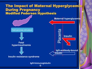 Fetal
hyperinsulinemia
The Impact of Maternal Hyperglycemia
During Pregnancy
Modified Pedersen Hypothesis
Fetus
Fetal pancreas stimulated
IgG=immunoglobulin
G
Mother
Placenta
IgG-antibody-bound
insulin
Insulin
Maternal hyperglycemia
Insulin resistance syndrome
 