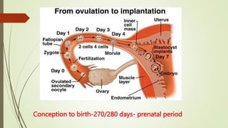 Human growth and Development- The beginning of life.pptx