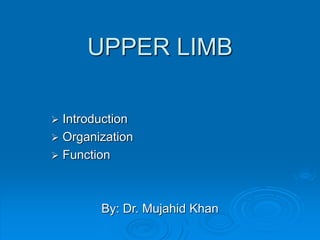 UPPER LIMB
 Introduction
 Organization
 Function
By: Dr. Mujahid Khan
 