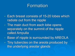 Formation
• Each breast consists of 15-20 lobes which
radiate out from the nipple
• The main duct from each lobe opens
separately on the summit of the nipple
called Ampulla
• Base of nipple is surrounded by AREOLA
• Tiny tubercles on the areola produced by
the underlying areolar glands
 