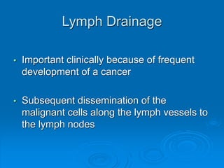 Lymph Drainage
• Important clinically because of frequent
development of a cancer
• Subsequent dissemination of the
malignant cells along the lymph vessels to
the lymph nodes
 