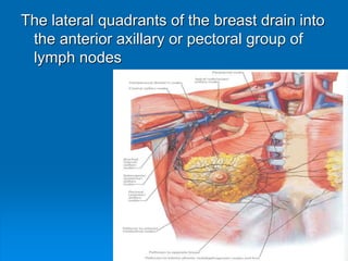 The lateral quadrants of the breast drain into
the anterior axillary or pectoral group of
lymph nodes
 