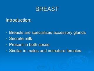 BREAST
Introduction:
• Breasts are specialized accessory glands
• Secrete milk
• Present in both sexes
• Similar in males and immature females
 