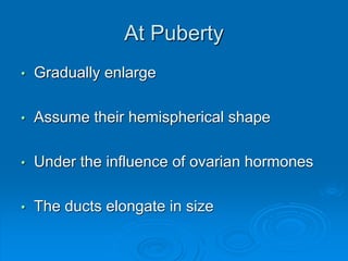 At Puberty
• Gradually enlarge
• Assume their hemispherical shape
• Under the influence of ovarian hormones
• The ducts elongate in size
 