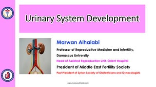 Urinary System Development
www.marwanalhalabi.com
Marwan Alhalabi
Professor of Reproductive Medicine and Infertility,
Damascus University
Head of Assisted Reproduction Unit, Orient Hospital
President of Middle East Fertility Society
Past President of Syrian Society of Obstetricians and Gynecologists
 