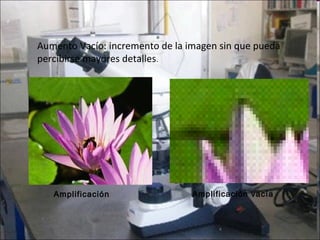 Aumento Vacío: incremento de la imagen sin que pueda
percibirse mayores detalles.




   Amplificación                 Amplificación vacía
 