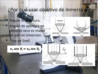 ¿Por qué usar objetivo de inmersión?
 Angulo de apertura.
 Angulo de apertura en
  objetivo seco es mayor
  en que en inmersión.
 *Ley de Snell
 