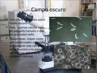Campo oscuro
 Estructura iluminada sobre
  fondo oscuro
 Para observar células vivas ,
  de pequeño tamaño o que
  no se pueden teñir.
 Desventajas: mayor costo
  por condensador especial,
  preparación más compleja
  de la muestra y no permite
  ver muchas estructuras
  celulares internas.
 