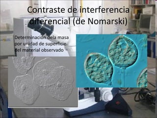 Contraste de interferencia
     diferencial (de Nomarski)
Determinación dela masa
por unidad de superficie
del material observado
 