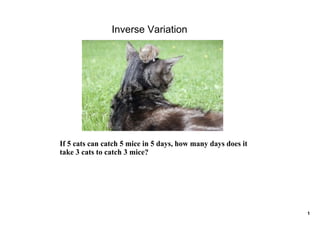 Inverse Variation




If 5 cats can catch 5 mice in 5 days, how many days does it 
take 3 cats to catch 3 mice?




                                                               1
 