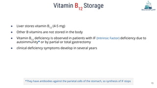 ● Liver stores vitamin B12
(4-5 mg)
● Other B vitamins are not stored in the body
● Vitamin B12
deficiency is observed in ...