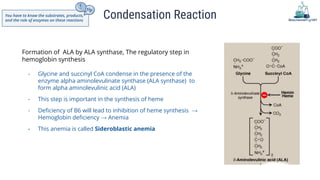 Condensation Reaction
Formation of ALA by ALA synthase, The regulatory step in
hemoglobin synthesis
- Glycine and succinyl...