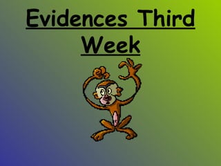 Evidences Third Week 