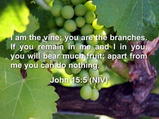 Grapevine

I am the vine; you are the branches.
If you remain in me and I in you,
you will bear much fruit; apart from
me you can do nothing.
          John 15:5 (NIV)
 
