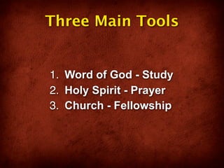 Three Main Tools


1. Word of God - Study
2. Holy Spirit - Prayer
3. Church - Fellowship
 