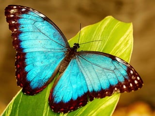 The End – 2 Corinthians 5:17
 