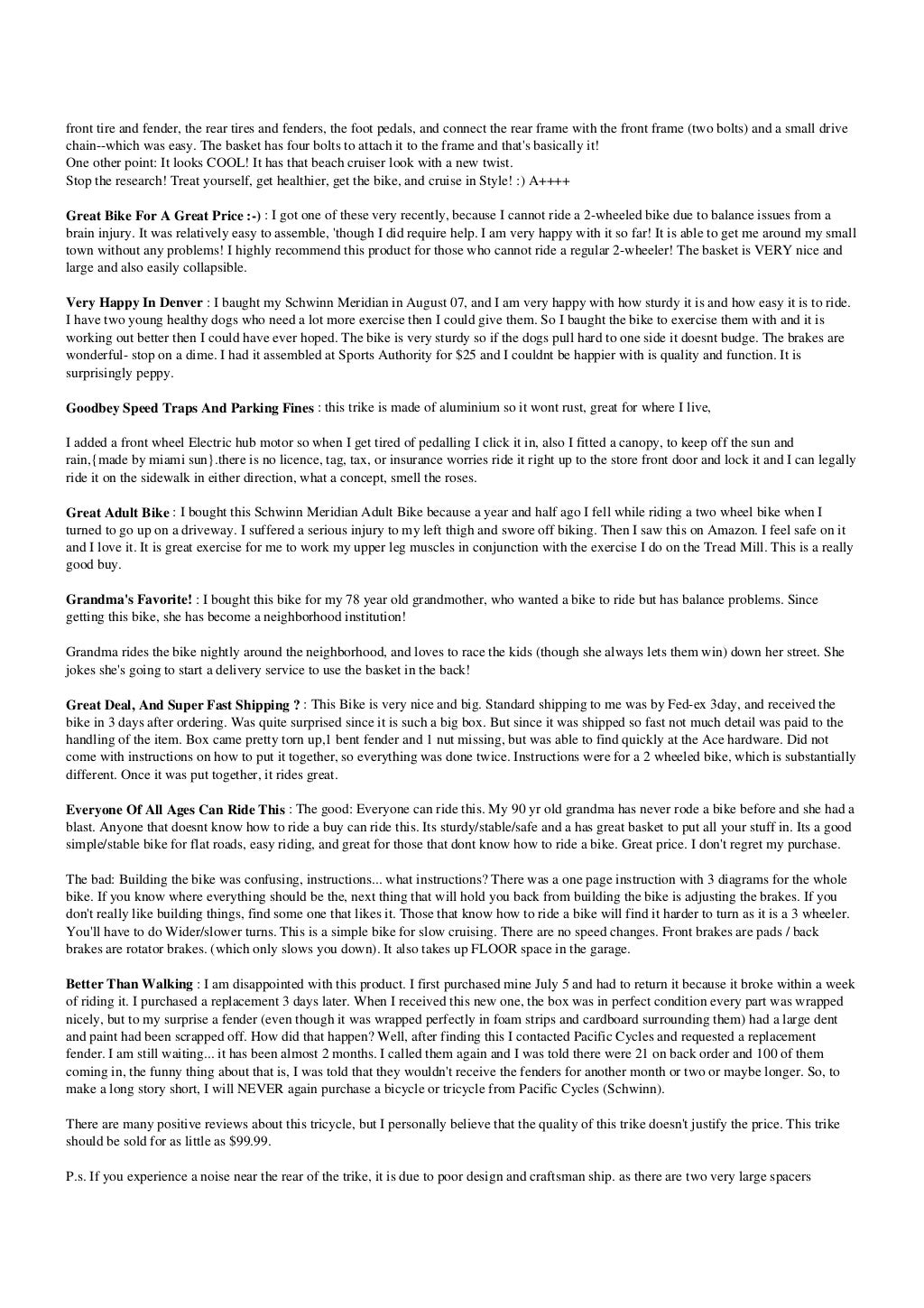 3 Wheel Electric Bike